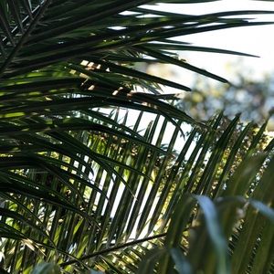 Meet your Posher, Cassandra